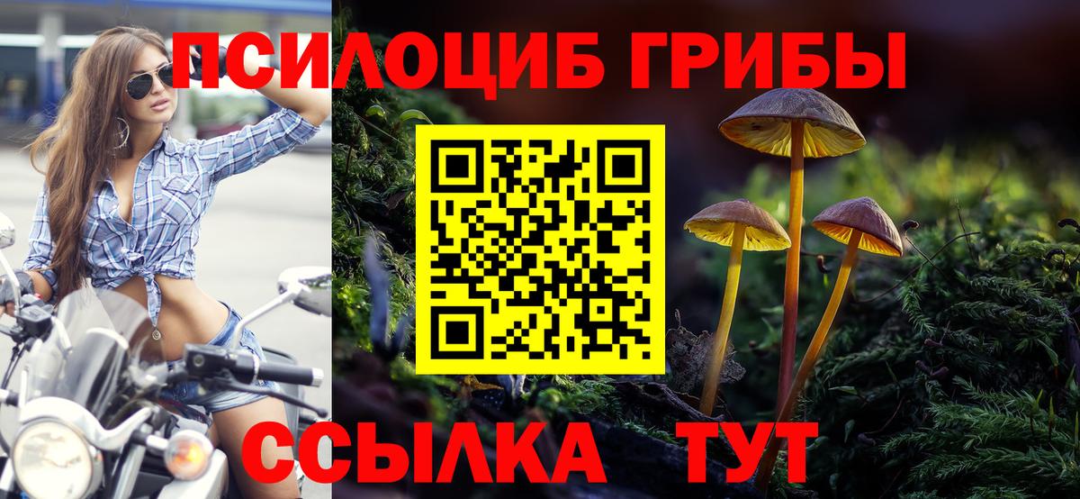 Псилоцибиновые грибы Cubensis Гурьевск